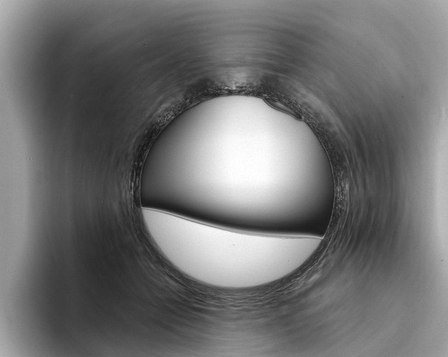 X0000094330558200711021133