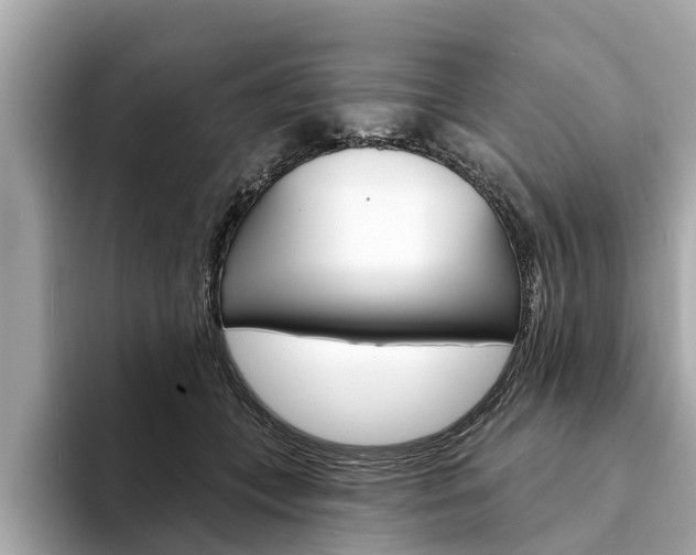 X0000094330559200711021133