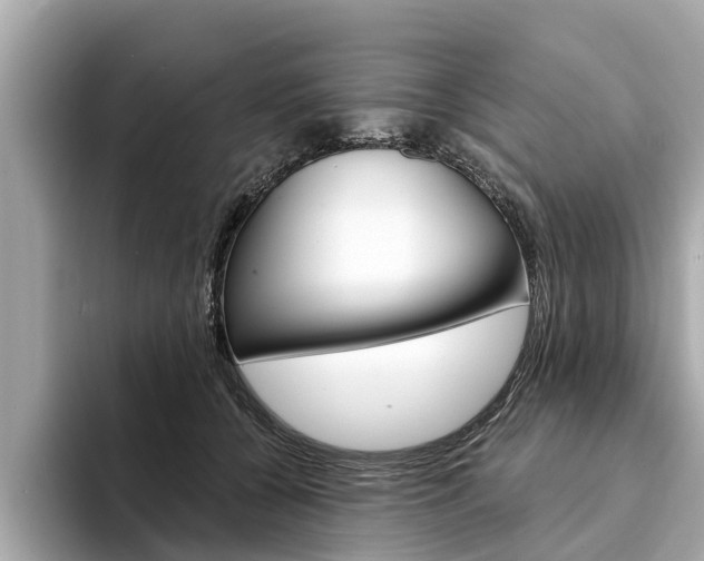 X0000094330560200711021133
