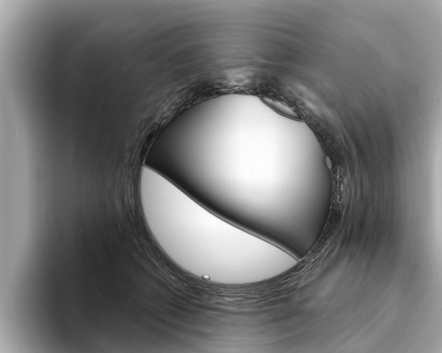 X0000094330562200711021133