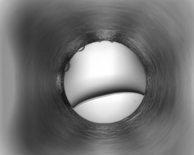 X0000094330575200711021133