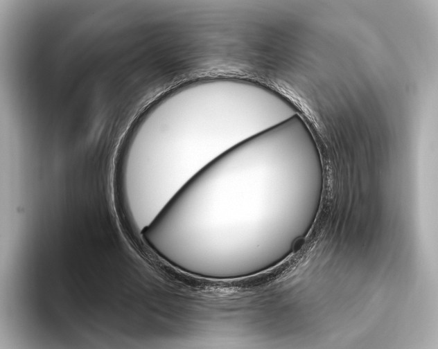 X0000094330582200711021132