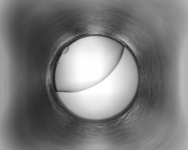 X0000094330583200711021132