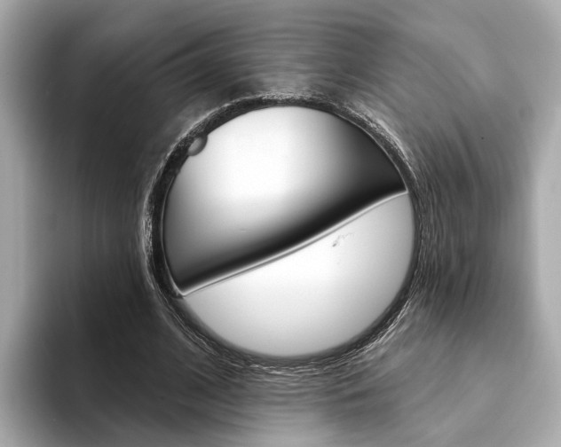X0000094330584200711021132