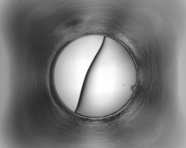 X0000094330586200711021132