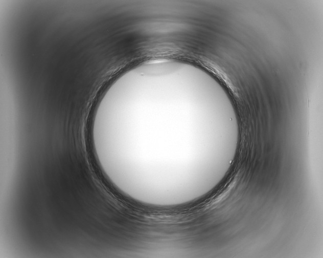X0000094330589200711021132