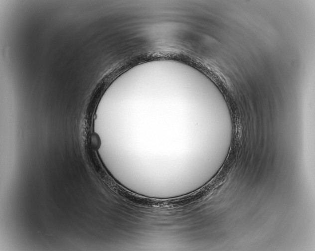 X0000094330591200711021132
