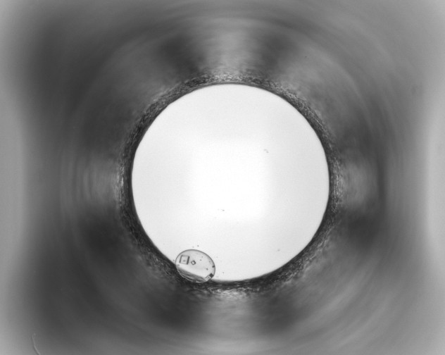 X0000094330592200711021132