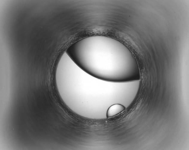 X0000094330593200711021132