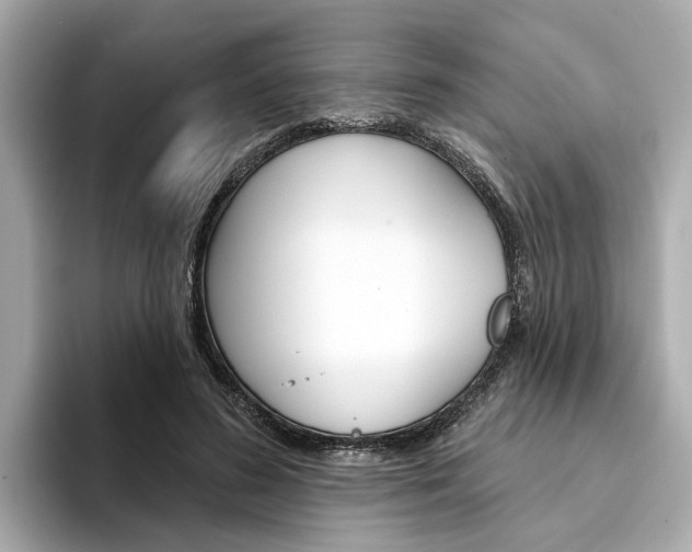 X0000094330596200711021132