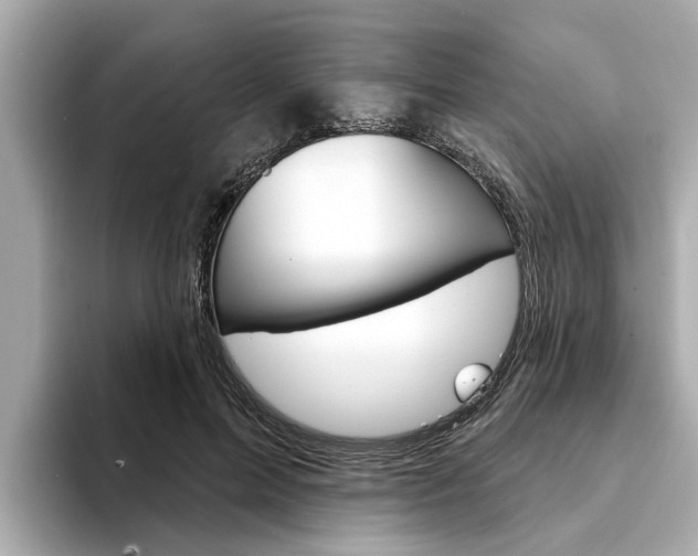 X0000094330599200711021132