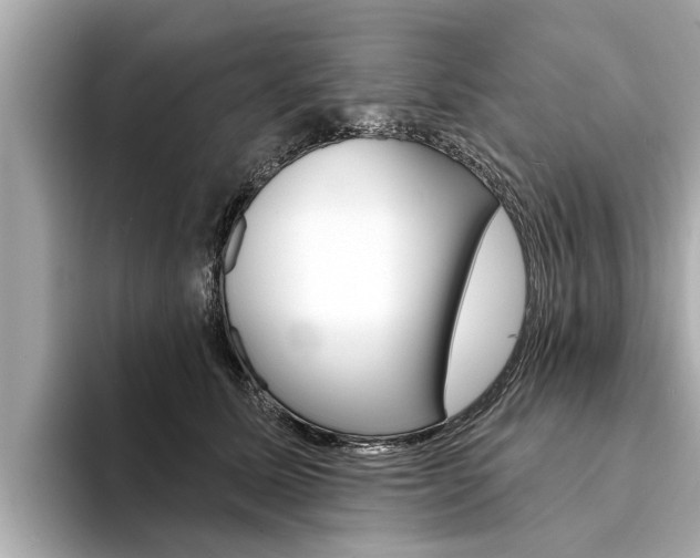 X0000094330611200711021132