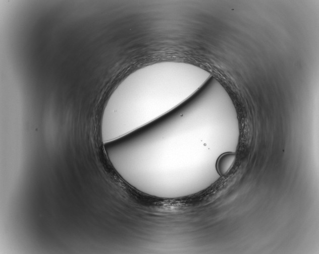 X0000094330612200711021132