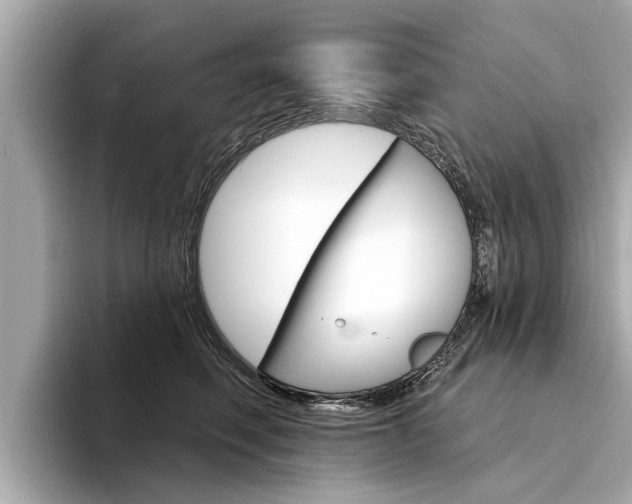 X0000094330614200711021132