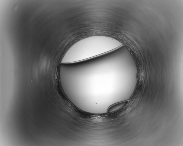 X0000094330616200711021132