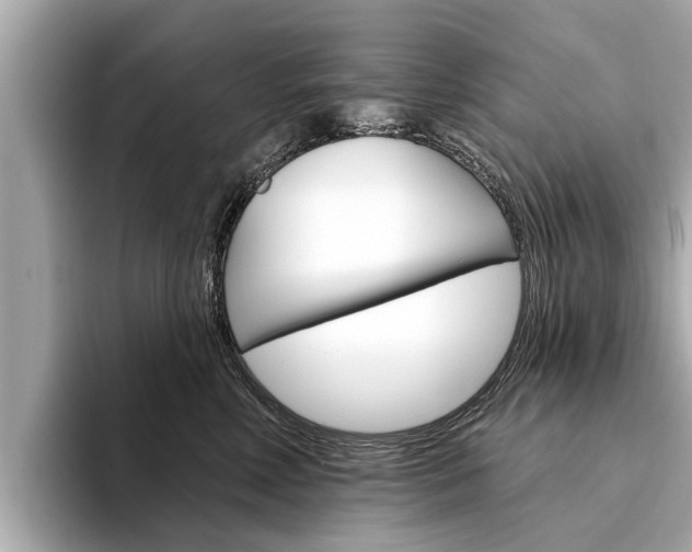 X0000094330618200711021132