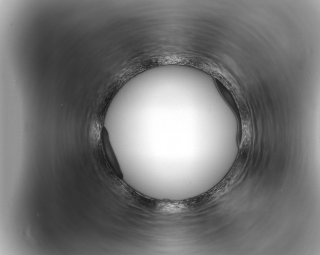 X0000094330621200711021132