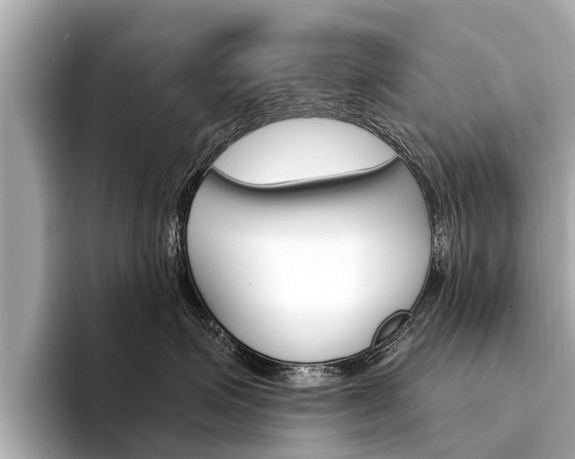 X0000094330623200711021132
