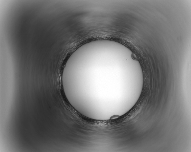 X0000094330624200711021132