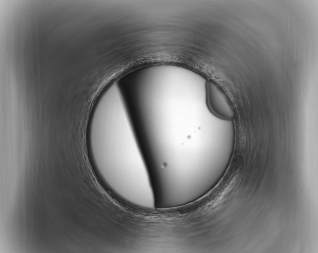 X0000094330625200711021131