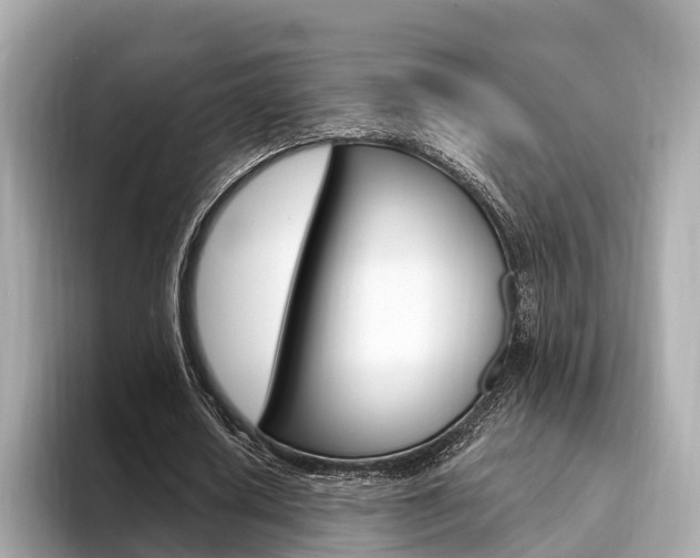 X0000094330626200711021131