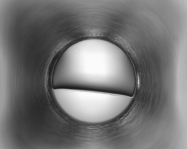 X0000094330627200711021131