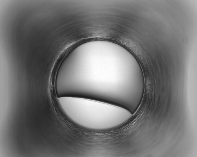 X0000094330628200711021131