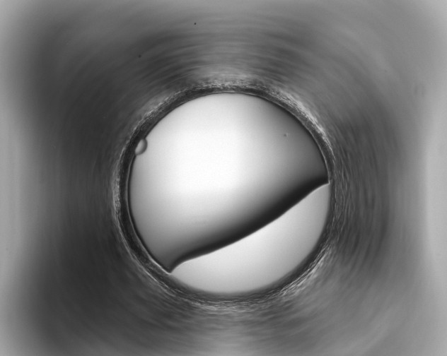 X0000094330629200711021131