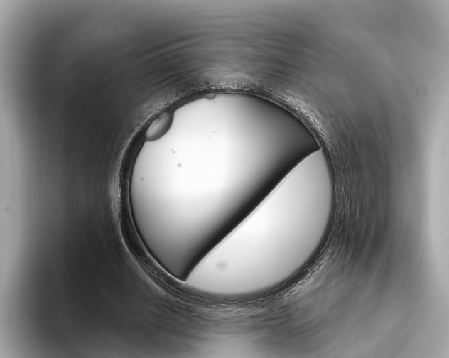 X0000094330630200711021131