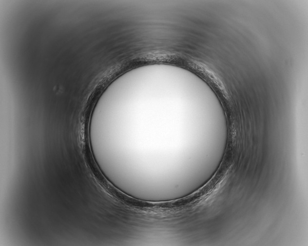 X0000094330633200711021132