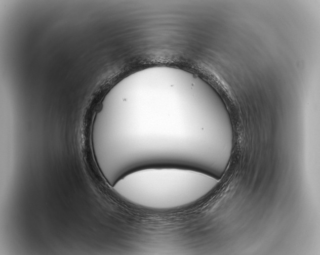 X0000094330635200711021132