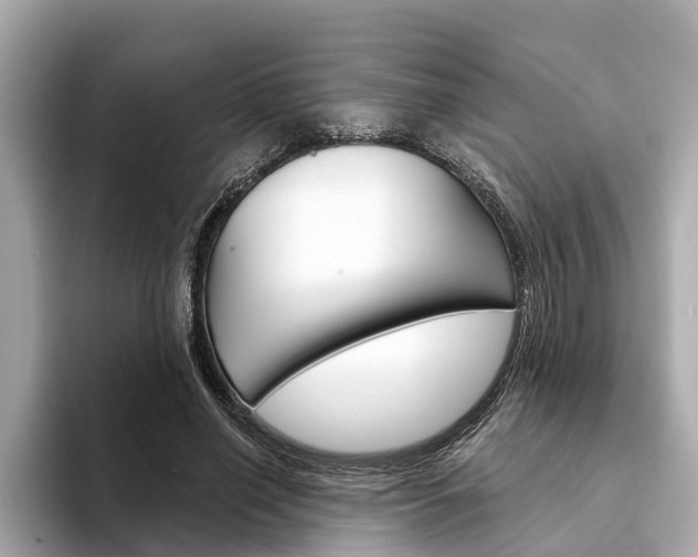 X0000094330638200711021132
