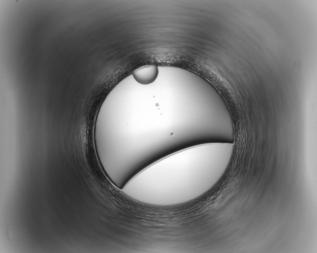 X0000094330639200711021132