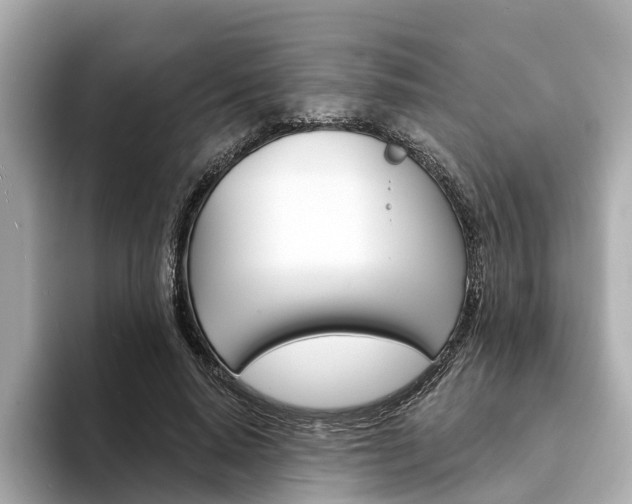 X0000094330640200711021132