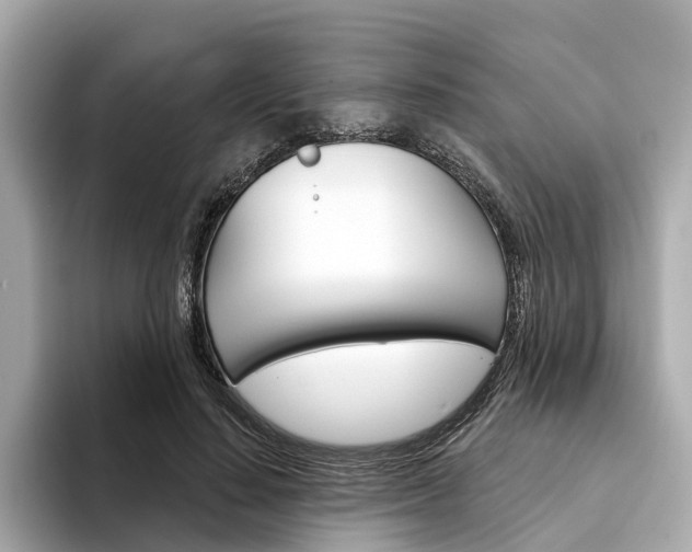 X0000094330644200711021132