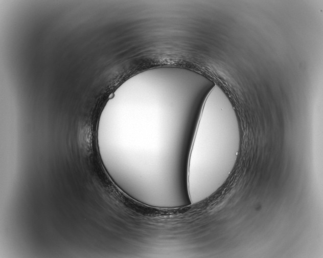 X0000094330646200711021132