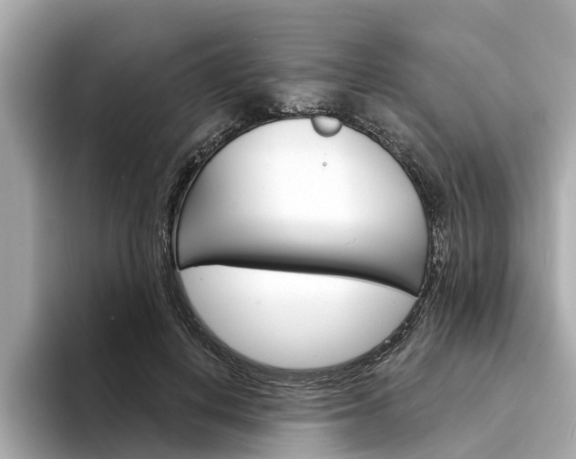 X0000094330648200711021132