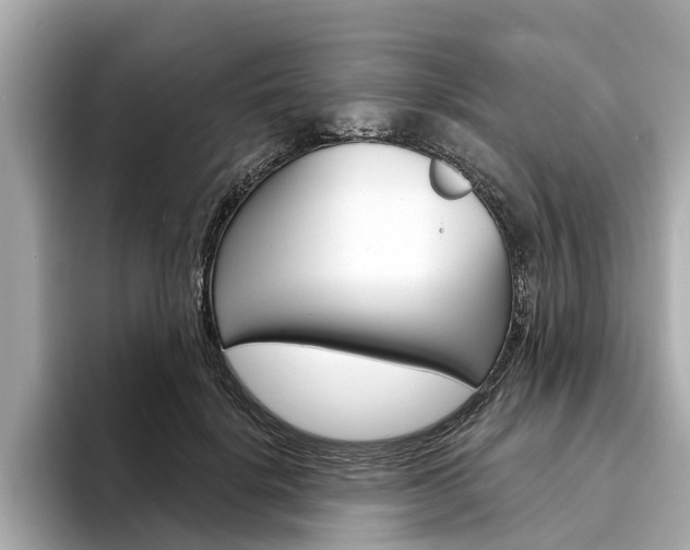 X0000094330652200711021132