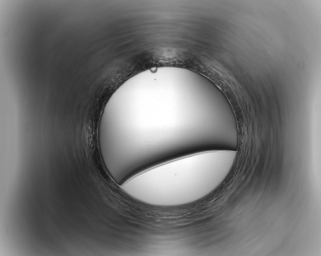 X0000094330653200711021132