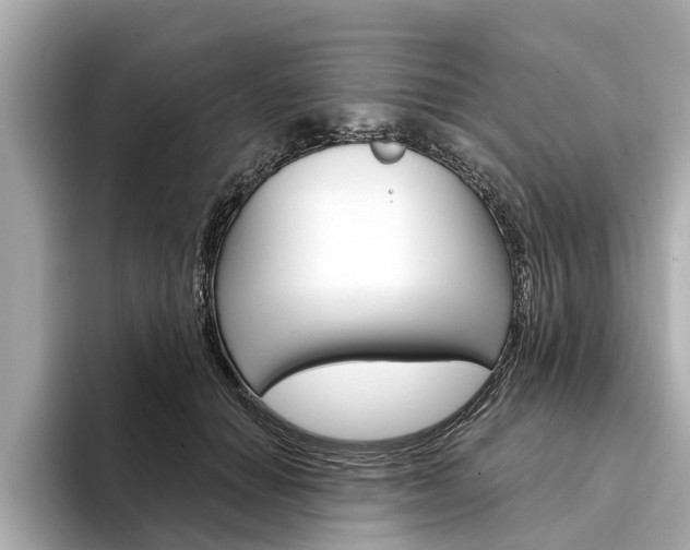 X0000094330654200711021132