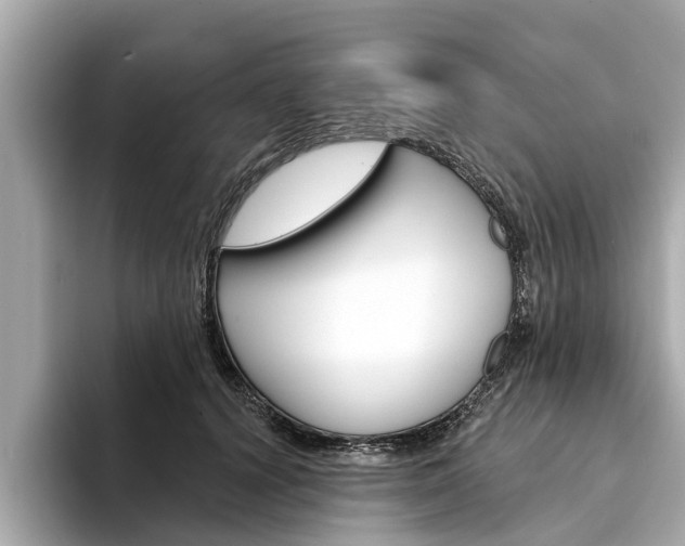 X0000094330656200711021132