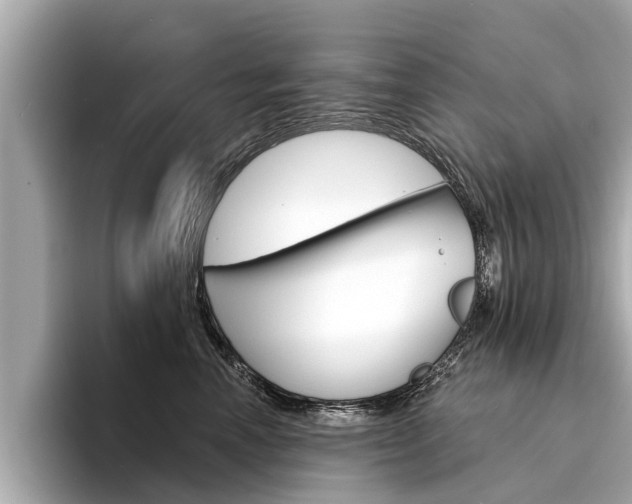 X0000094330666200711021132