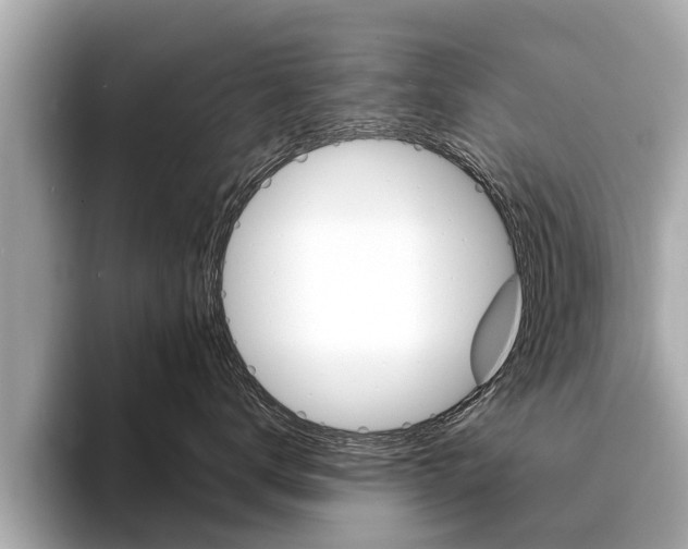 X0000094330672200711021132