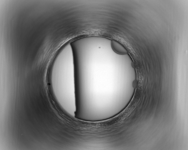 X0000094330674200711021131