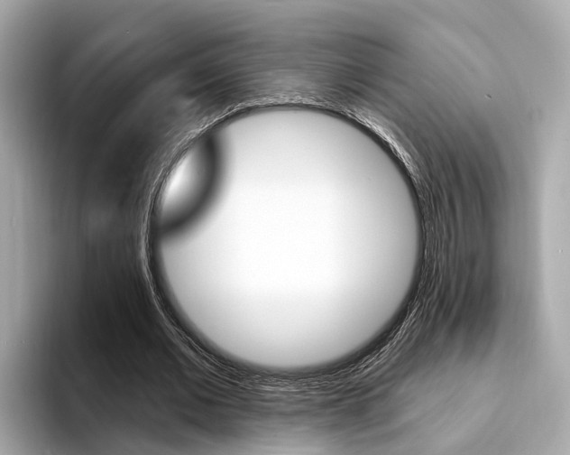 X0000094330677200711021131