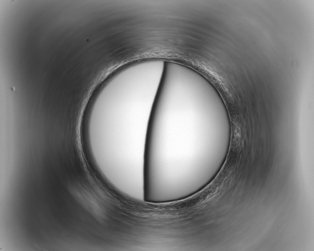 X0000094330678200711021131