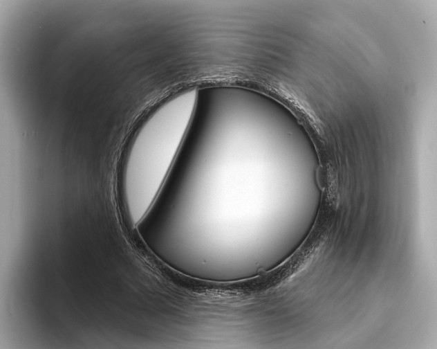 X0000094330681200711021131
