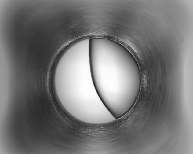 X0000094330684200711021131