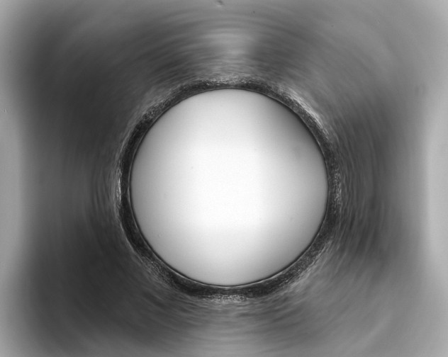 X0000094330685200711021131