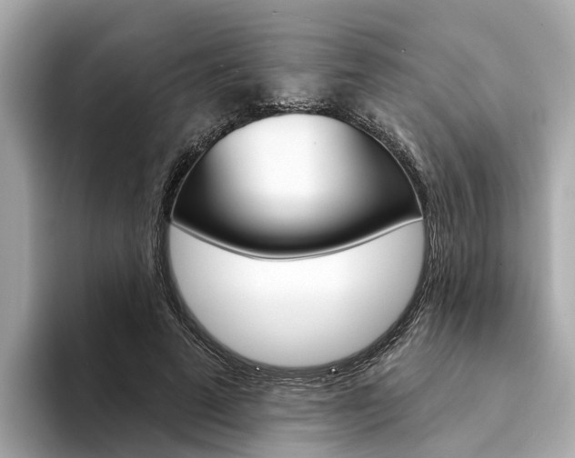 X0000094330689200711021131